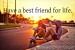 best-friend-bff-childhood-friends-Favim.com-604198